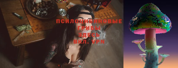 первитин Алексеевка